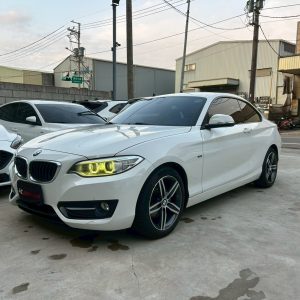2014 BMW 220i coupe